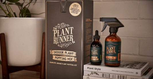 Meet the Makers - The Plant Runner