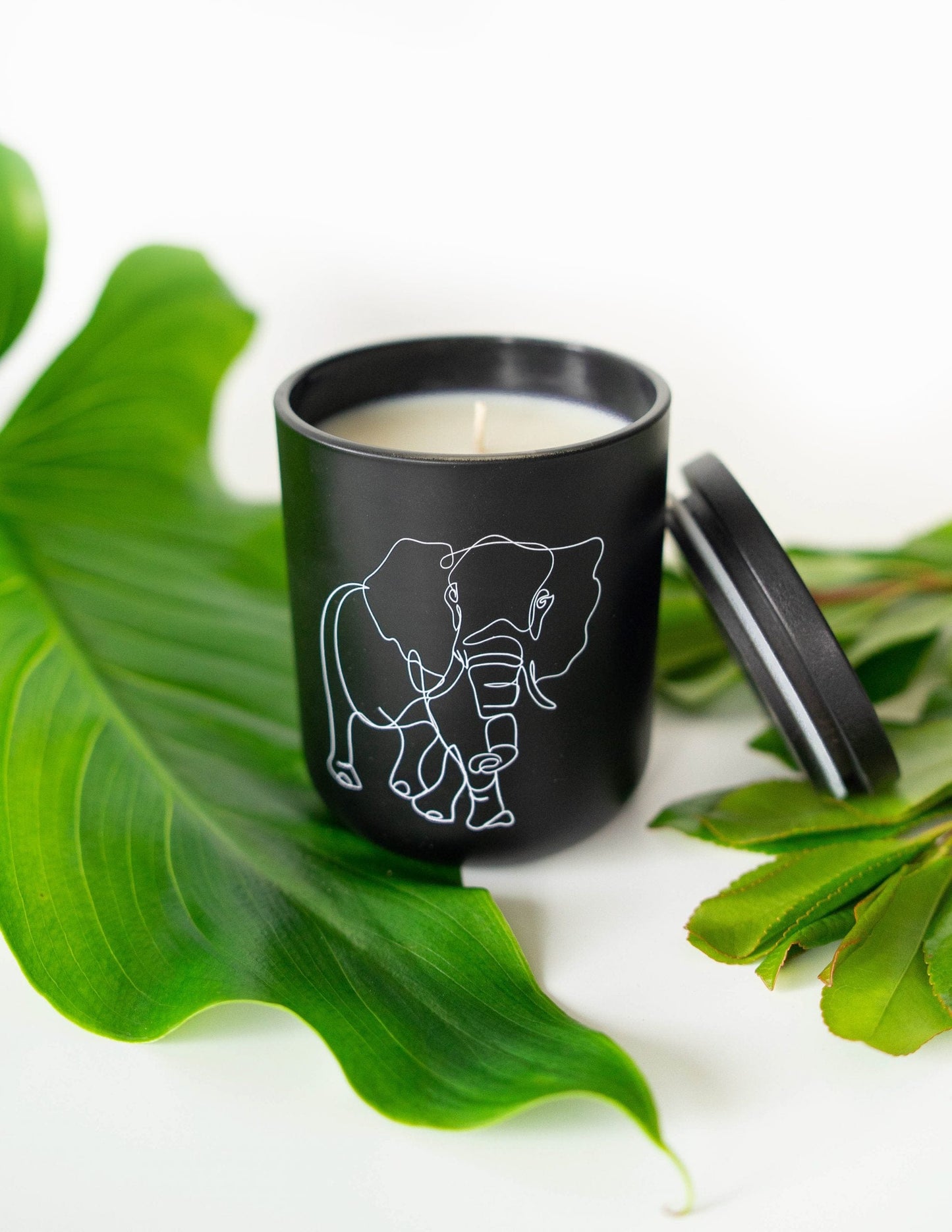 Wildlife Soy Candle Collection - Bundle