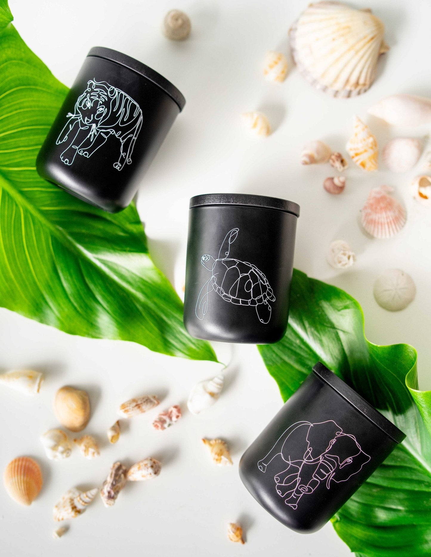 Wildlife Soy Candle Collection - Bundle