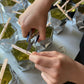 Candle making workshop