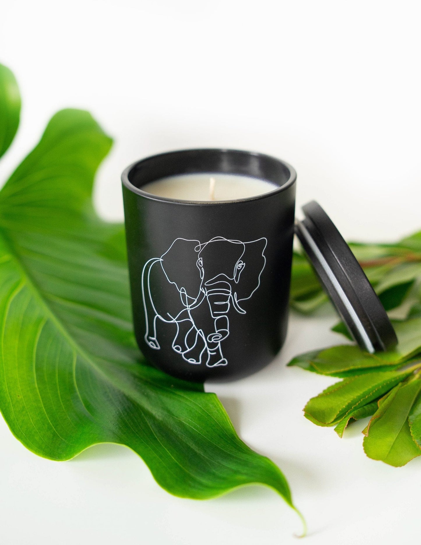 Elephant Soy Candle - Wildlife Collection