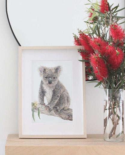 Koala Print | State of Eden