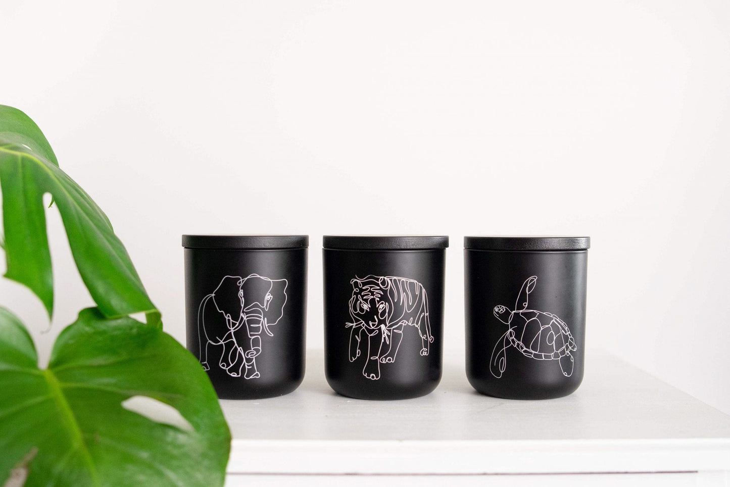 Wildlife Soy Candle Collection - Bundle